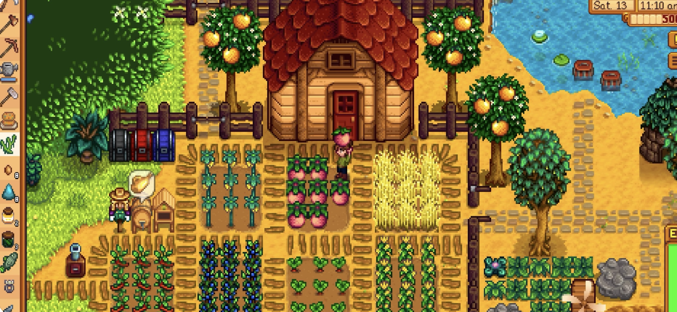 星露谷物语Arcade版 Arcade-第1张